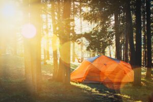 photo of tent in forest